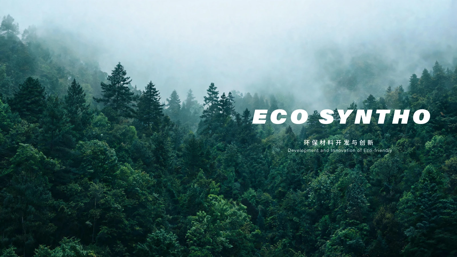 ECO SYNTHO 白皮书第 2 页