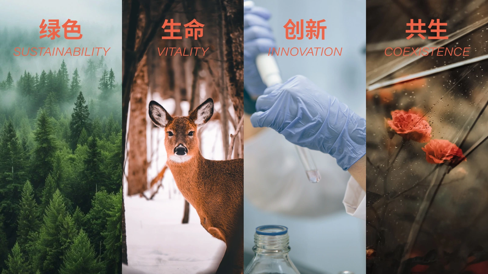 ECO SYNTHO 白皮书第 3 页