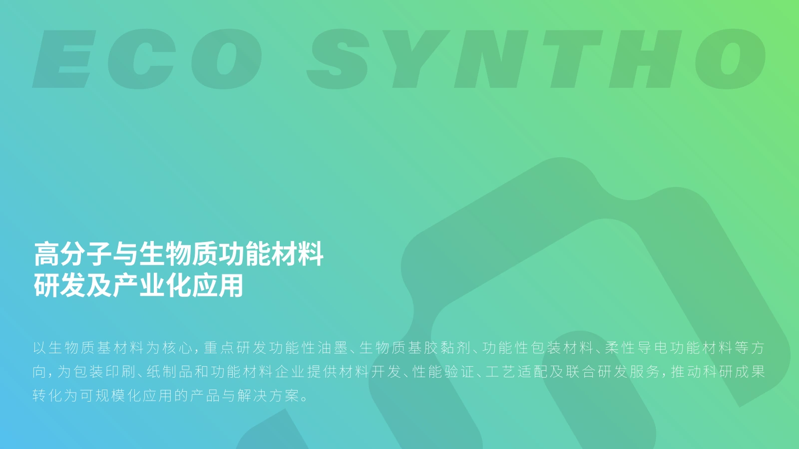 ECO SYNTHO 白皮书第 4 页
