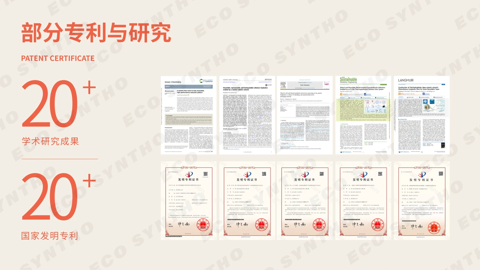ECO SYNTHO 白皮书第 9 页