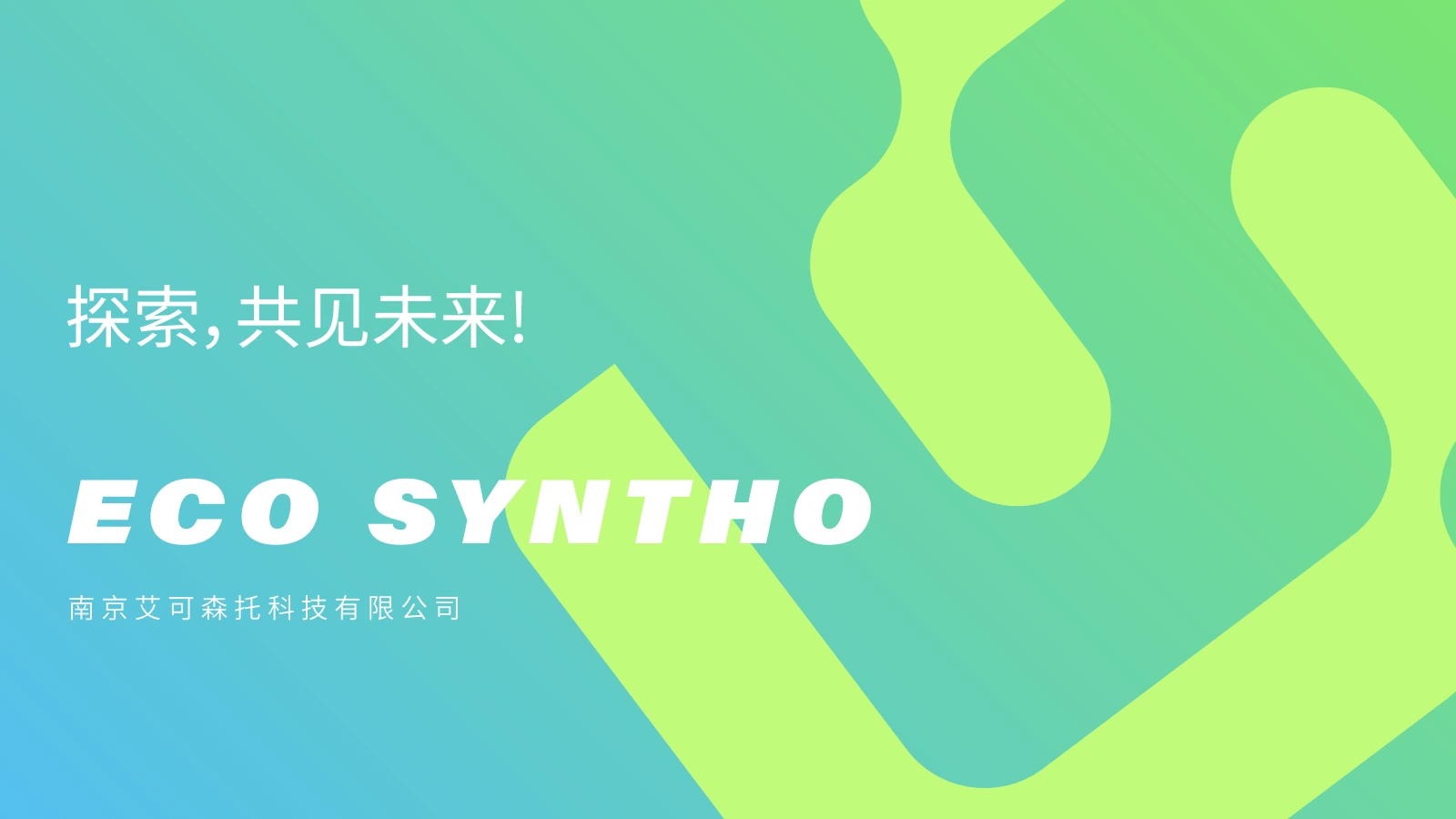 ECO SYNTHO 白皮书第 11 页